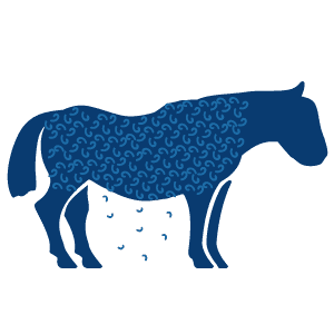 Equine Illustration ppid-coat-shed