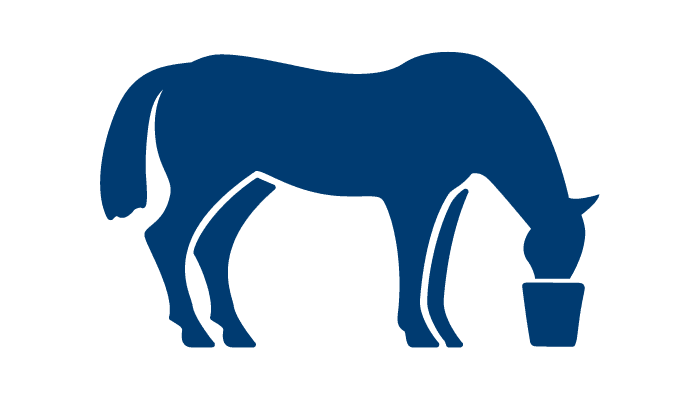 Equine PPID Excessive drinking urination
