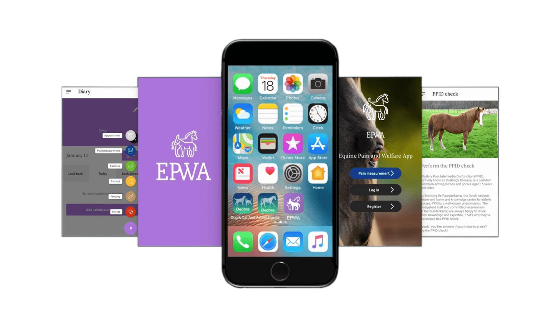 Equine pain welfare app